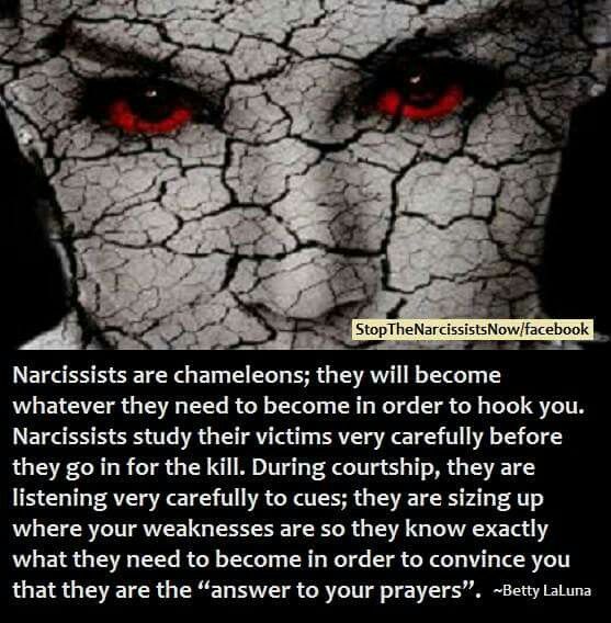 Narcissists are Chameleons